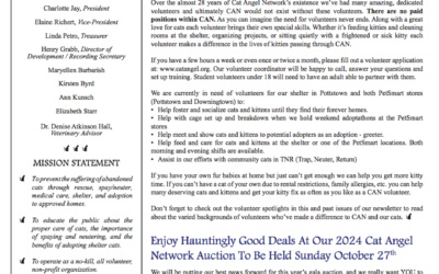 Fall 2024 Newsletter