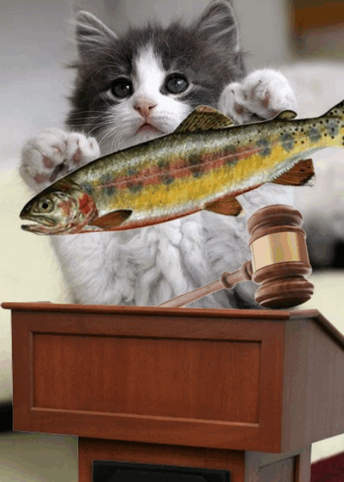 Harvest Wonderful Deals at our Annual CAN Auction November 2nd 2025